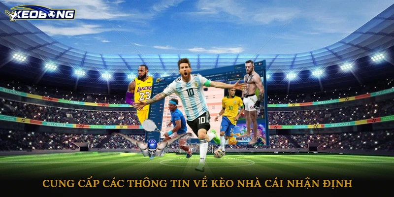 Cung cấp các thông tin về kèo nhà cái, nhận định kết quả trận đấu chất lượng