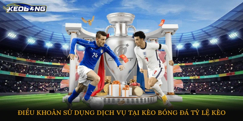 Điều khoản sử dụng dịch vụ tại kèo bóng đá tỷ lệ kèo