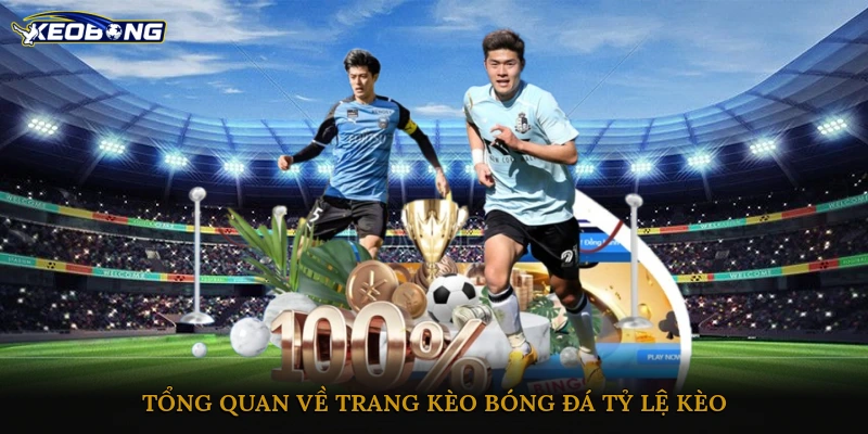 Tổng quan về trang kèo bóng đá tỷ lệ kèo